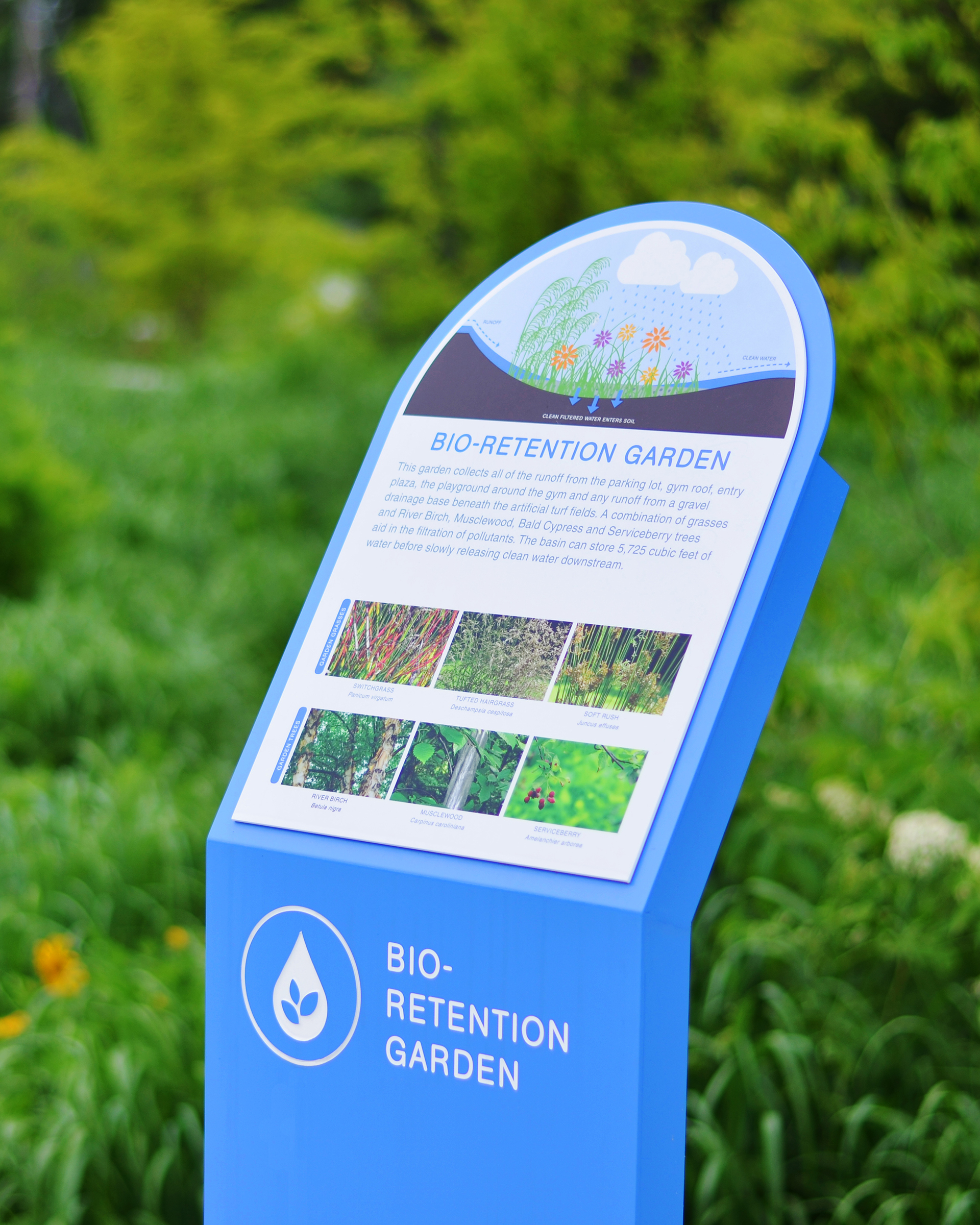 A blue and white exterior factoid sign at Discovery Elementary School about the bio-retention garden
