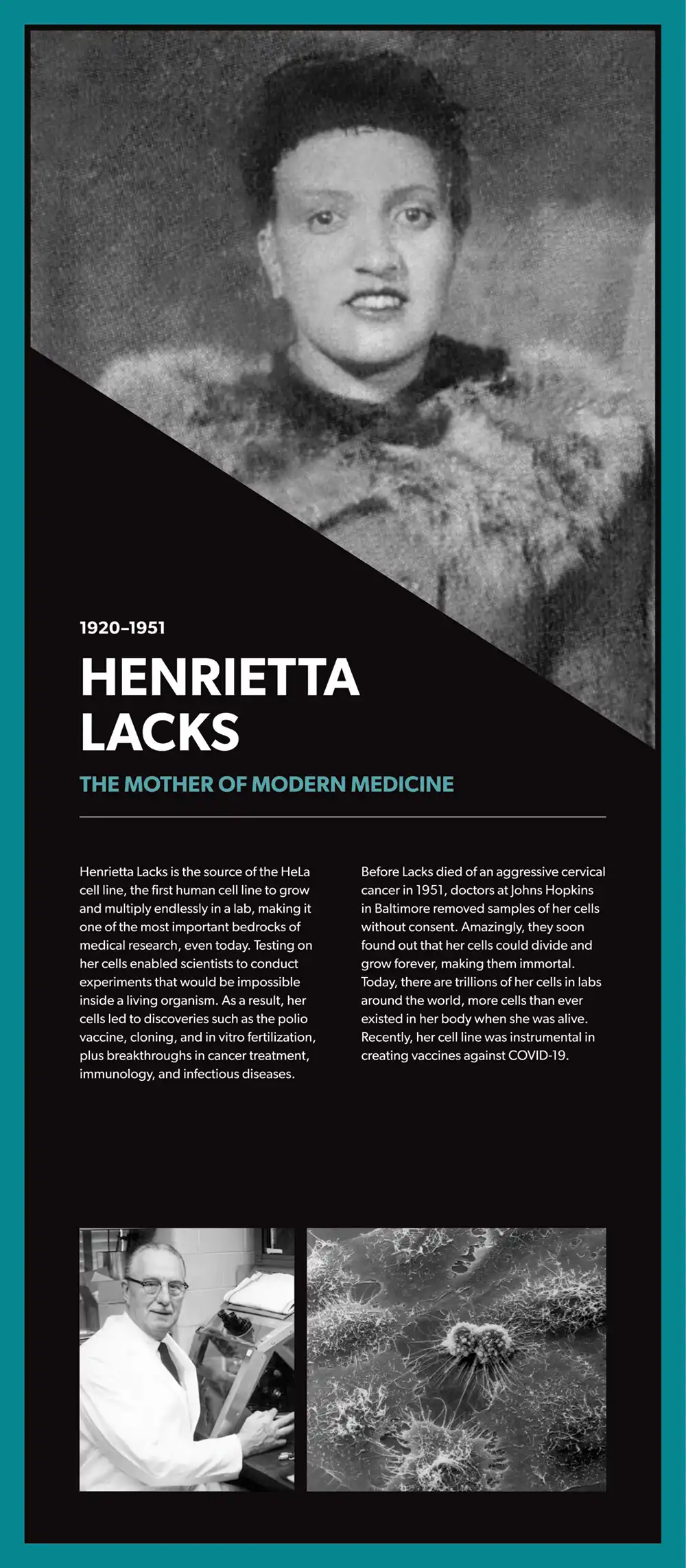 Melrose Plaza Henrietta Lacks display
