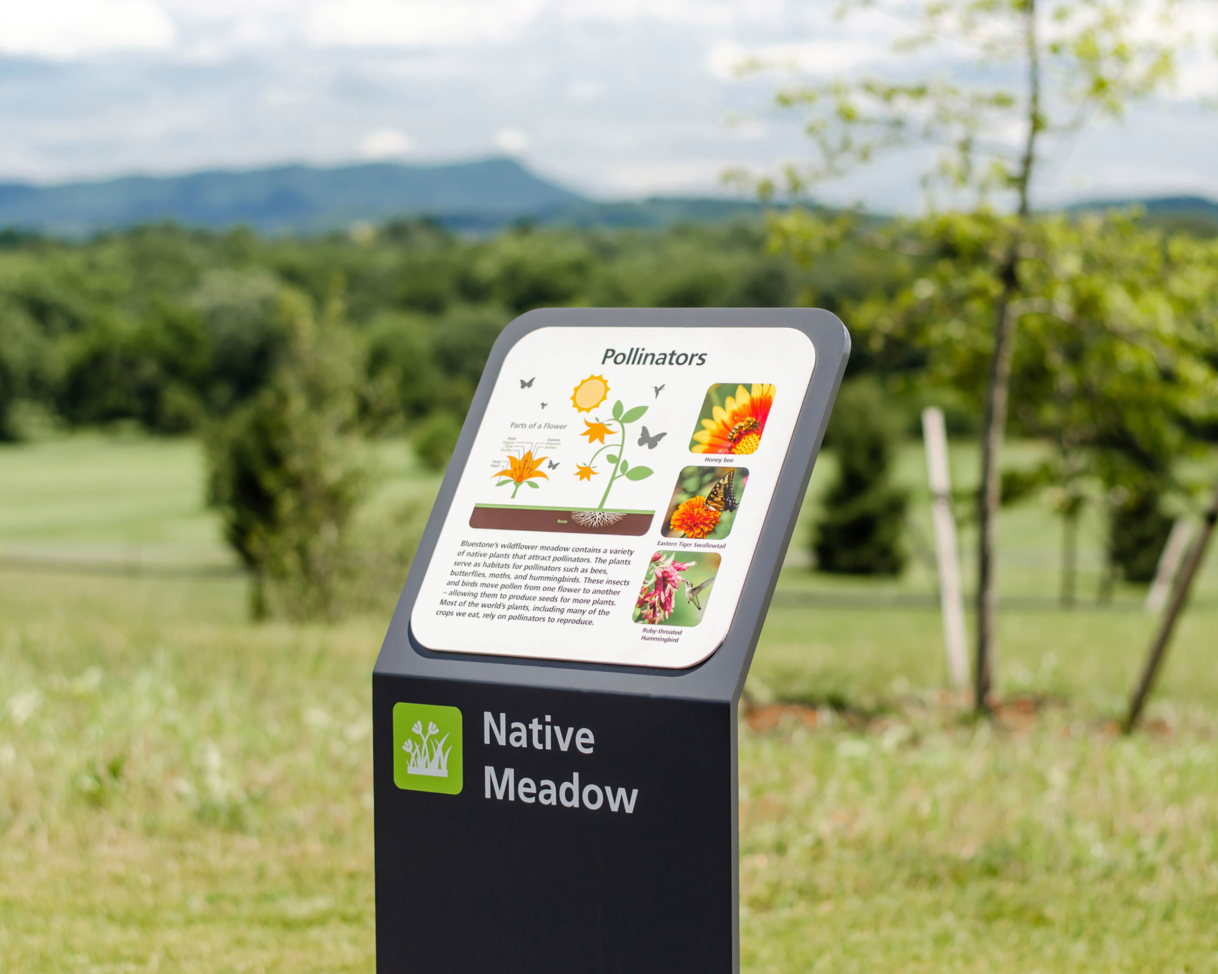 Outdoor informational sign at Bluestone Elementary School