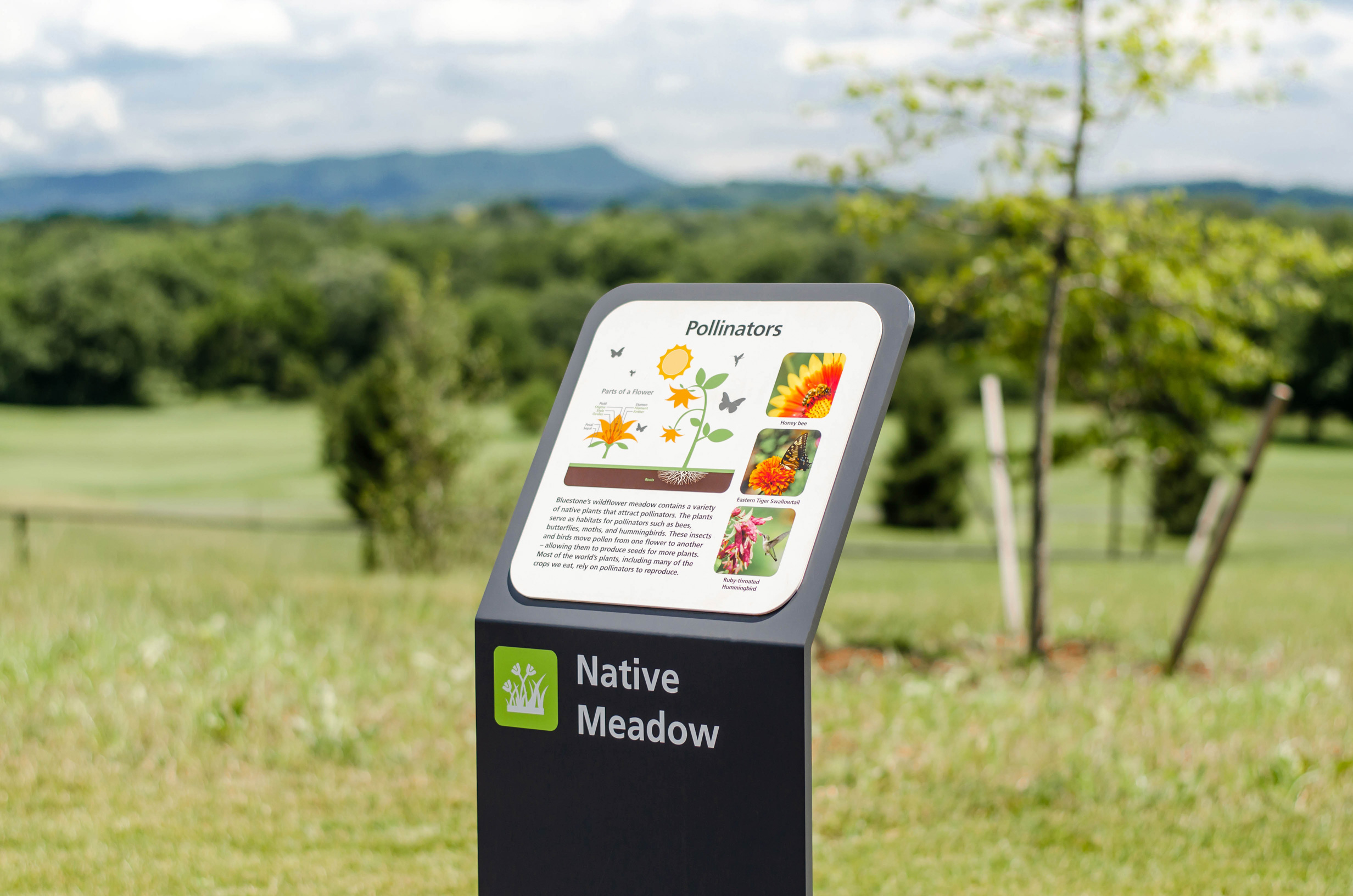 Outdoor informational sign at Bluestone Elementary School