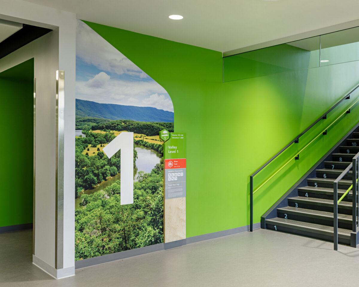 Level 1 wall graphics and wayfinding signage at Bluestone Elementary School