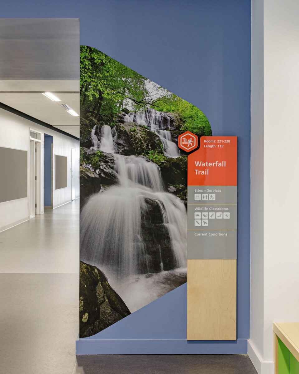 Wall graphics and wayfinding at Bluestone Elementary School