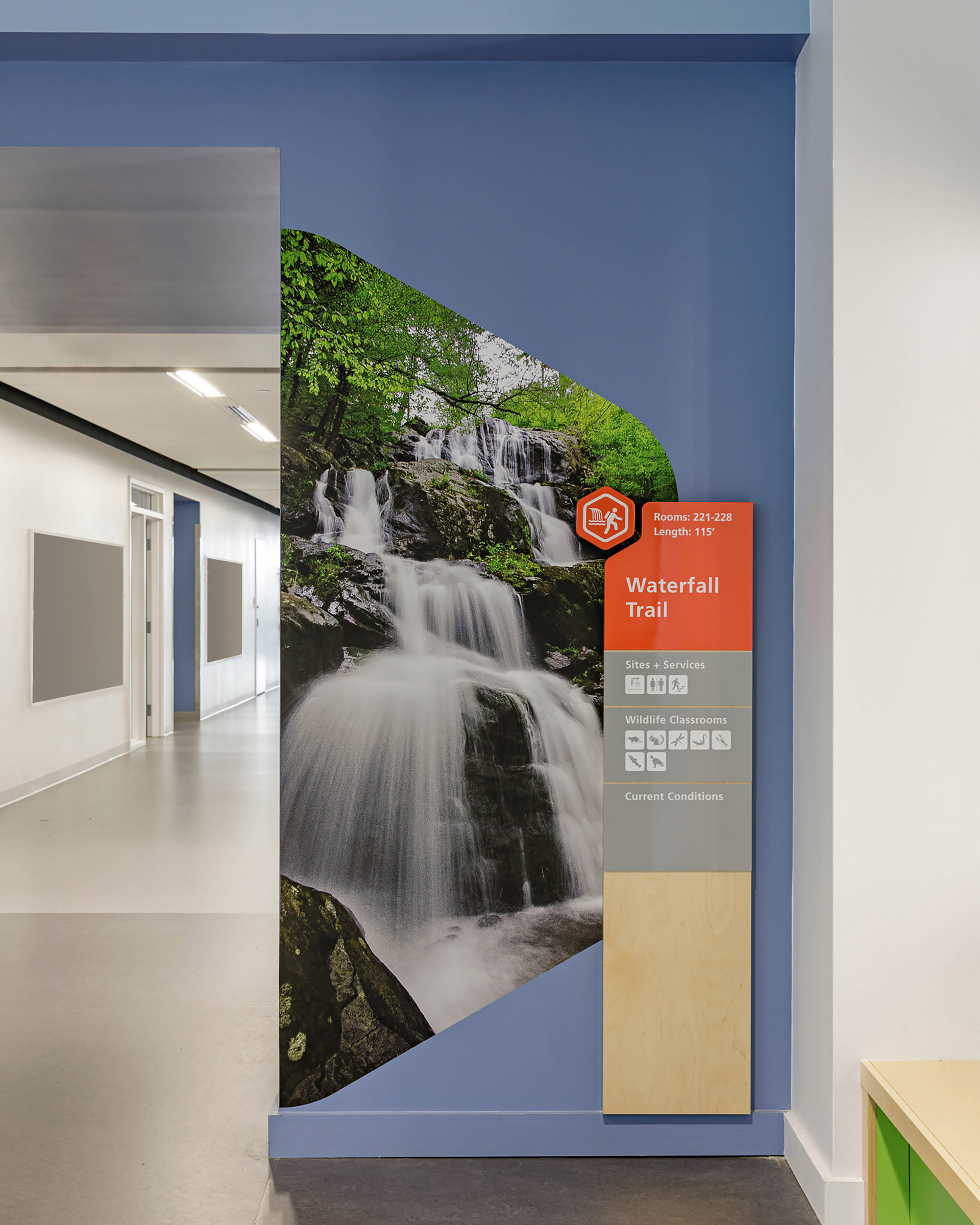 Wall graphics and wayfinding at Bluestone Elementary School