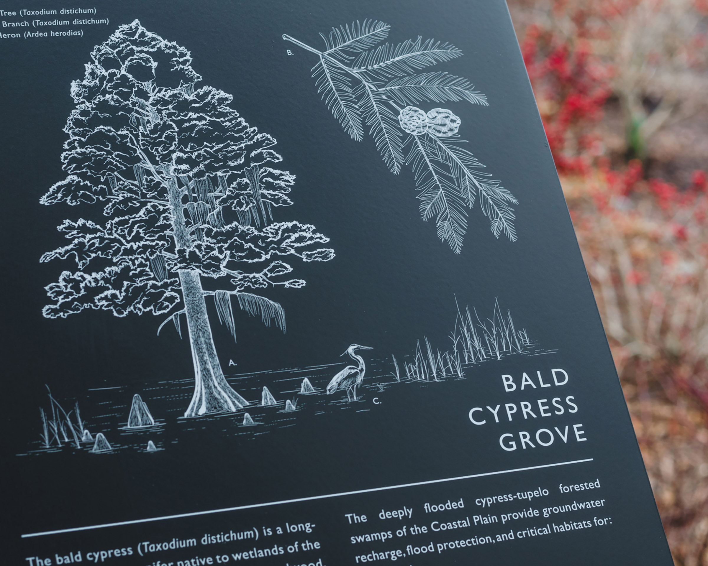 Closeup of an exterior informational sign at Greer Environmental Sciences Center