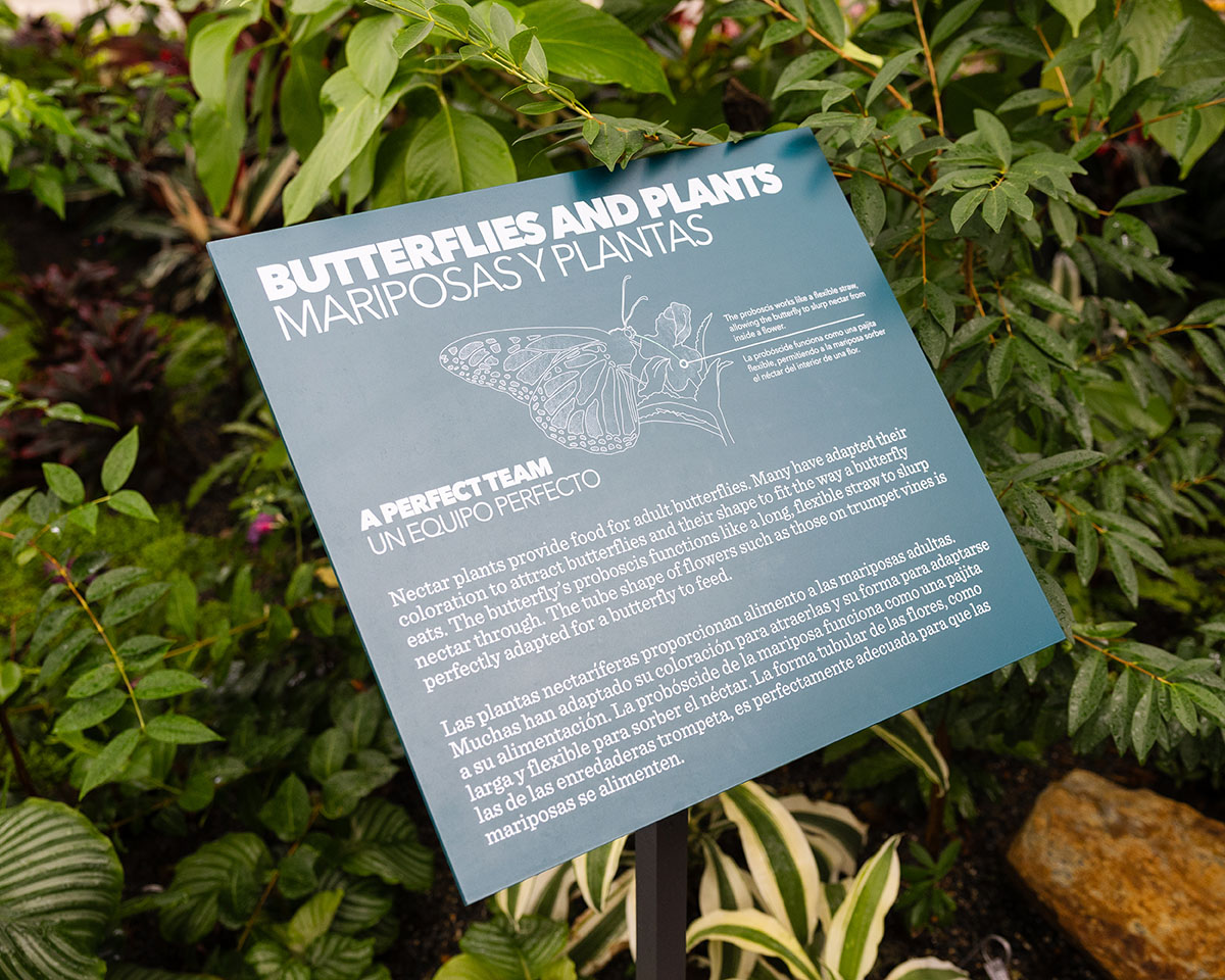 An informational plaque at Lewis Ginter Botanical Garden about butterflies