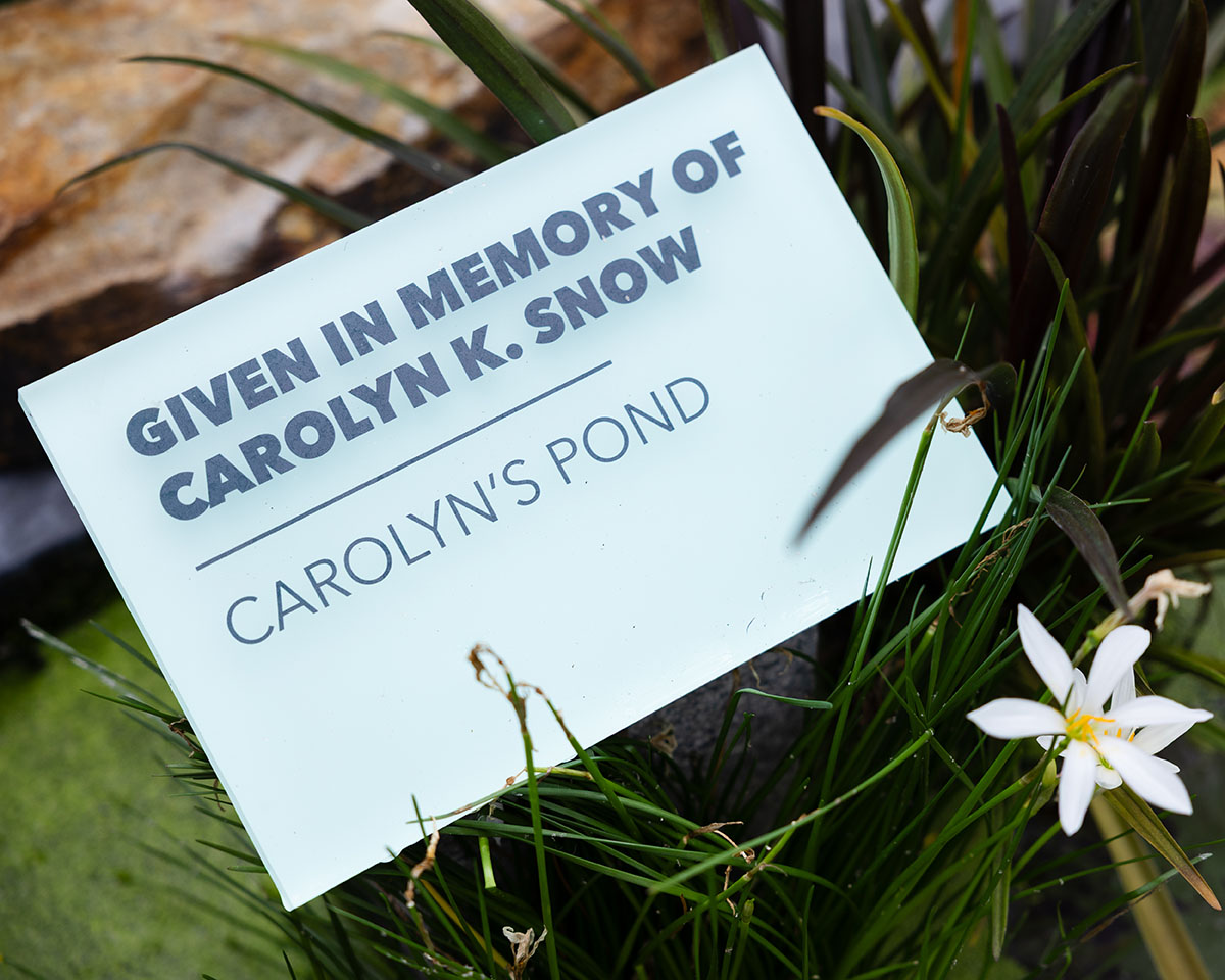 Donor plaque at Lewis Ginter Botanical Garden for "Carolyn's pond"